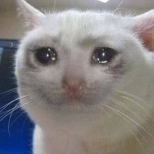 Meet your Posher, Leah angelica